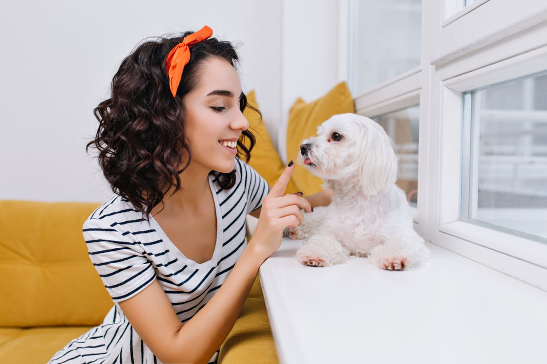 Unique Photo Ideas for Dog & Cat Puzzles